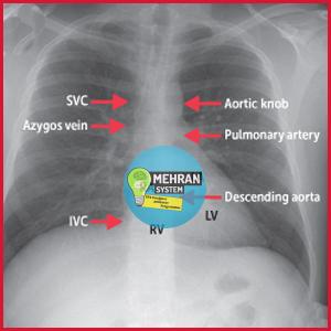 دانلود کتاب First Aid USMLE Step 1 2023 3 دانلود کتاب First Aid USMLE Step 1 2023 - تصویر 3