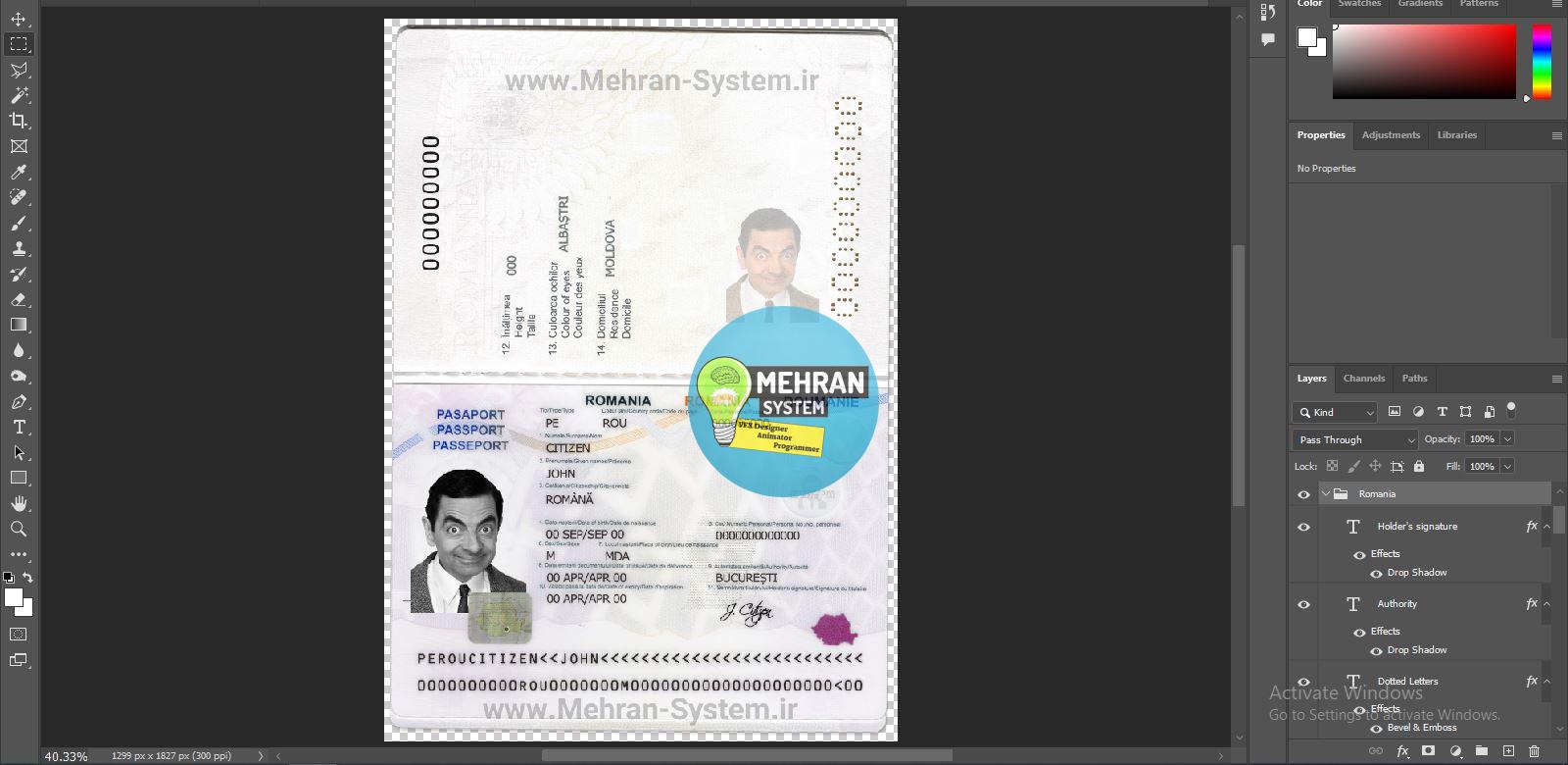 پاسپورت رومانی