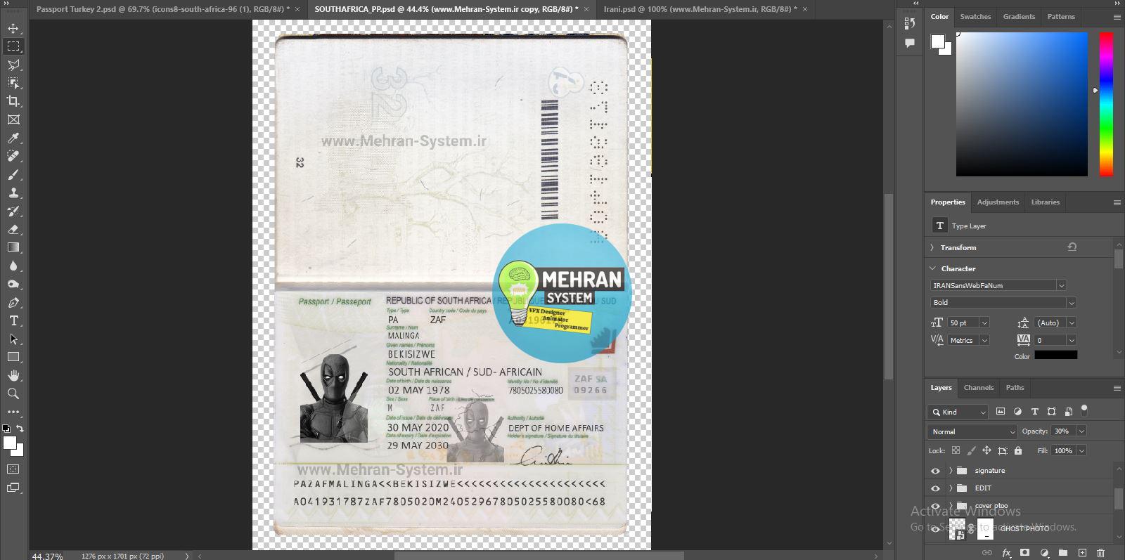 پاسپورت آفریقای جنوبی