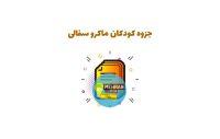 جزوه کودکان ماکرو سفالی