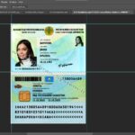فایل لایه باز آیدی کارت قزاقستان (Kazakhstan Idcard) - تصویر 2