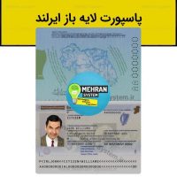 پاسپورت ایرلند