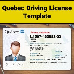 Quebec driving license template